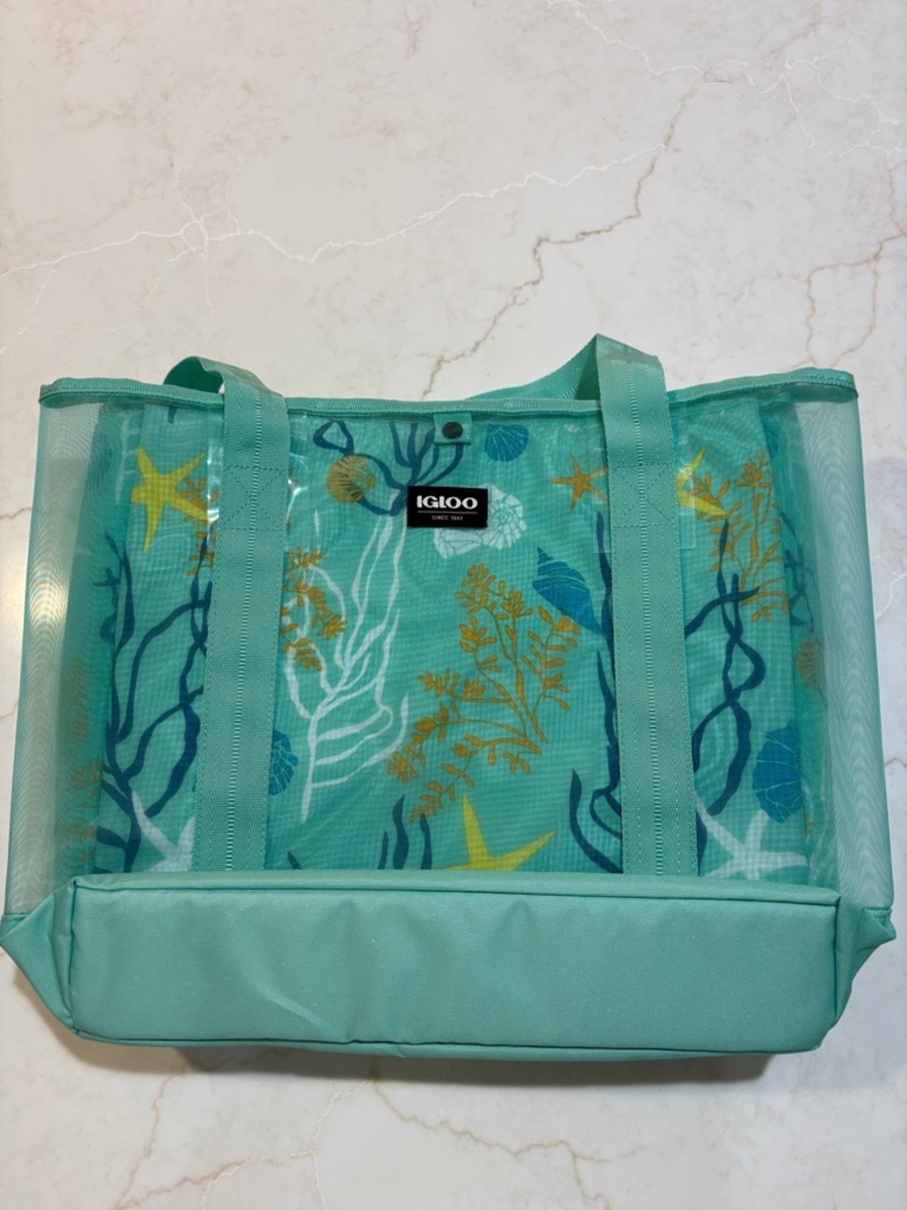 Igloo Dual Compartment Insulated Mesh Beach Tote Mint Green